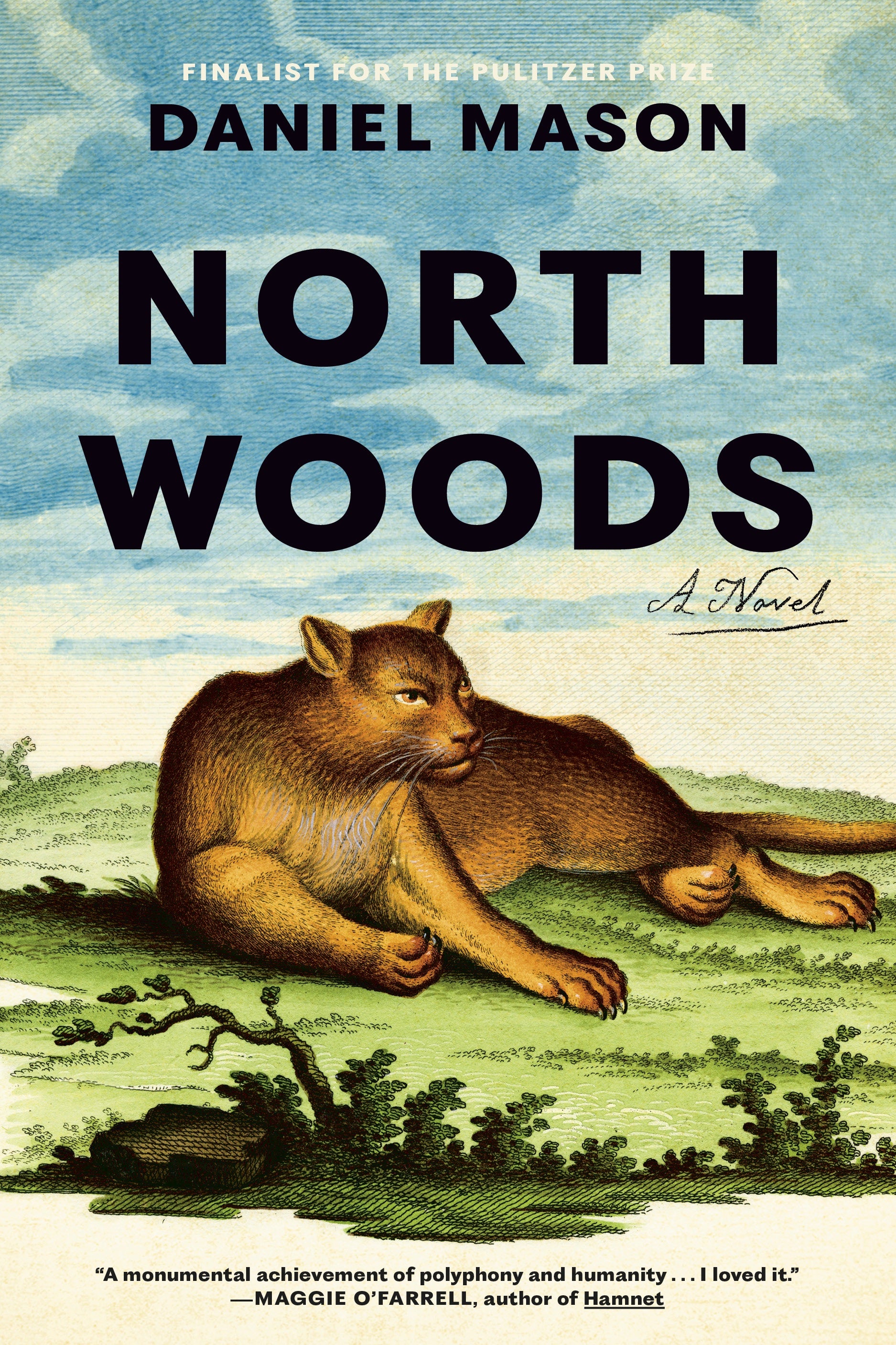 North Woods